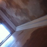 84 balgreen road after plastering and conice large scotch  (3)