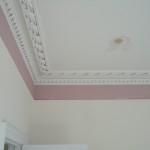 double enriched cornice restoration with leaf vine for mansell construction huntly 5